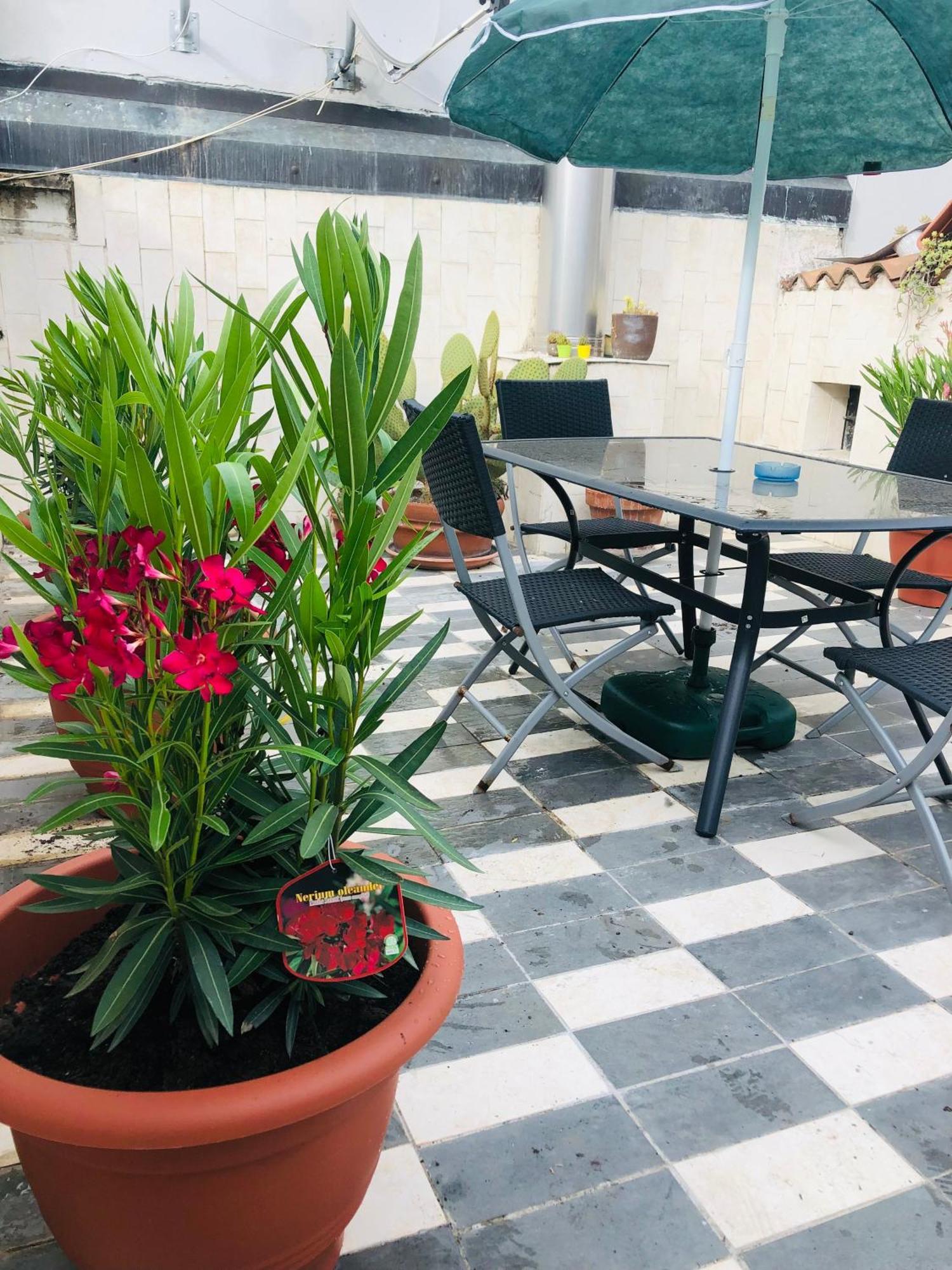 La Terrazza Di Aida Lejlighed Verona Eksteriør billede